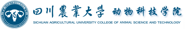 必赢Bwin线路检测中心官网